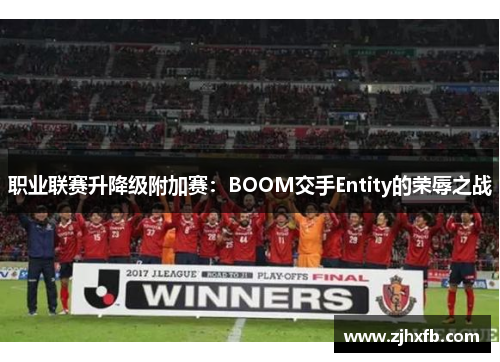职业联赛升降级附加赛：BOOM交手Entity的荣辱之战